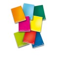 Max Quaderno A4 Monocolore 1 Rigo 10 Pezzi 80gr 40 Pagine 21ff Quadernone Scuola 1