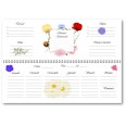 Planning settimanale perpetuo spiralato 10x30cm su due pagine fiori 1