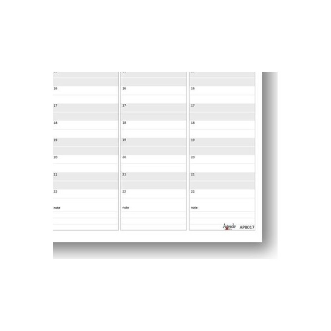 Planning settimanale perpetuo spiralato 21x30cm A4 orario sab dom separati 55fogli pixel 4