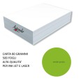 Risma Carta Colorata Verde Chiaro Forte 500ff A4 80gr Monocolore Alta Qualità Per Laser Ed Inkjet 1
