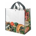 Borsa Shopping In Plastica Pesce 50 Pz Con Bottone A Chiusura ,doppio Manico 43x45x24 1