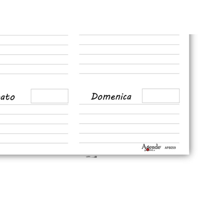 Planning settimanale perpetuo spiralato 30x42cm A3 55fogli planet horse 3