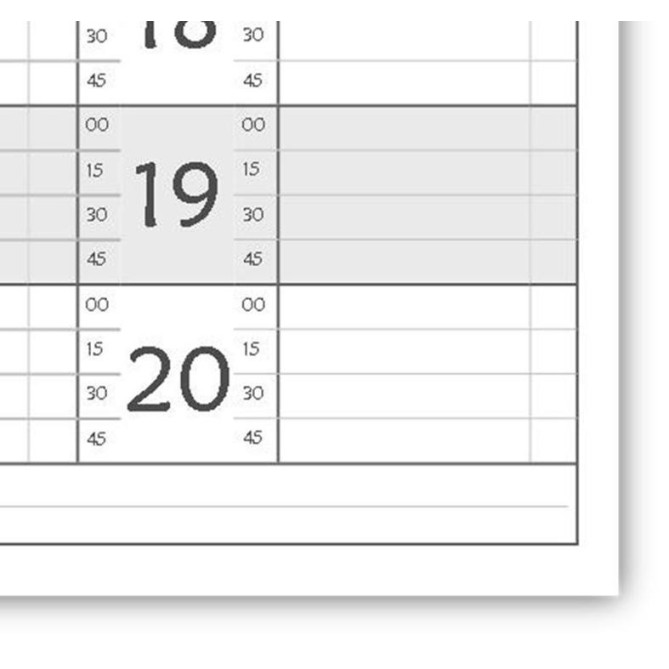 Planning giornaliero perpetuo spiralato 10x30cm orario 15min 120pagine 60fogli 5