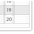 Planning giornaliero perpetuo spiralato 10x30cm orario 15min 120pagine 60fogli 5