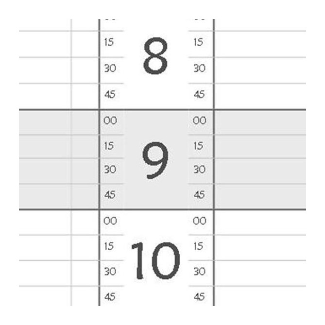 Planning giornaliero perpetuo spiralato 21x30cm A4 orario 15min 120pagine 60fogli 2