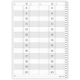 Planning giornaliero perpetuo spiralato 21x30cm A4 orario 15min 120pagine 60fogli 3
