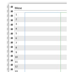 Planning mensile perpetuo 3 colonne spiralato 21x30cm A4 24fogli 3 2