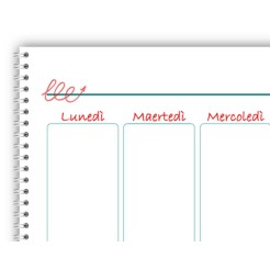 Planning settimanale perpetuo spiralato 21x30cm A4 55fogli cuori 4 2