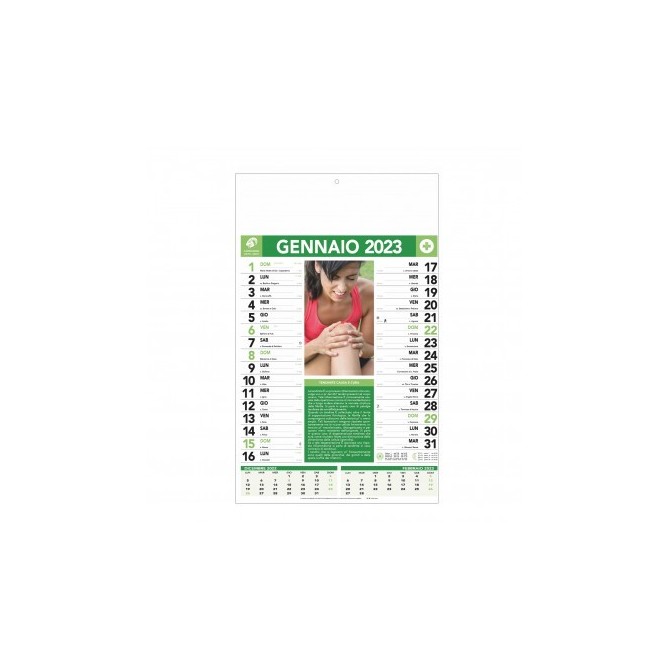 Calendario Da Muro 2023 46x29cm Del Farmacista A Strappo Pezzi 100 1
