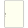 Ricambio agenda organizer rubrica 21x30cm A4 80gr 4fori 125fogli 5colori 1