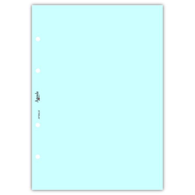 Ricambio agenda organizer rubrica 21x30cm A4 80gr 4fori 125fogli 5colori 2
