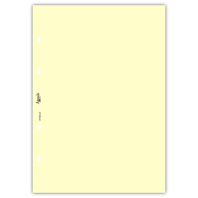 Ricambio agenda organizer rubrica 21x30cm A4 80gr 4fori 125fogli 5colori 3