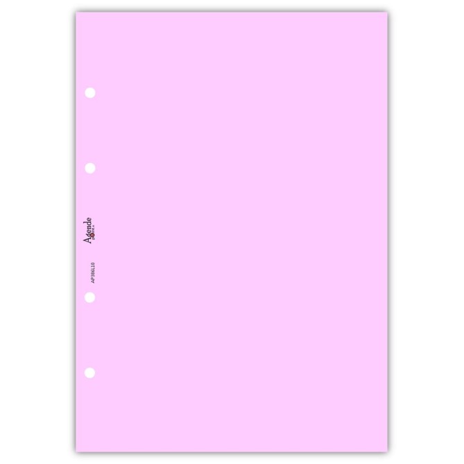 Ricambio agenda organizer rubrica 21x30cm A4 80gr 4fori 125fogli 5colori 4