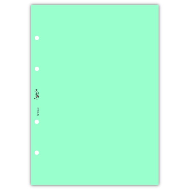 Ricambio agenda organizer rubrica 21x30cm A4 80gr 4fori 125fogli 5colori 5