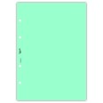 Ricambio agenda organizer rubrica 21x30cm A4 80gr 4fori 125fogli 5colori 5