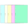 Ricambio agenda organizer rubrica 21x30cm A4 80gr 4fori 125fogli 5colori 6