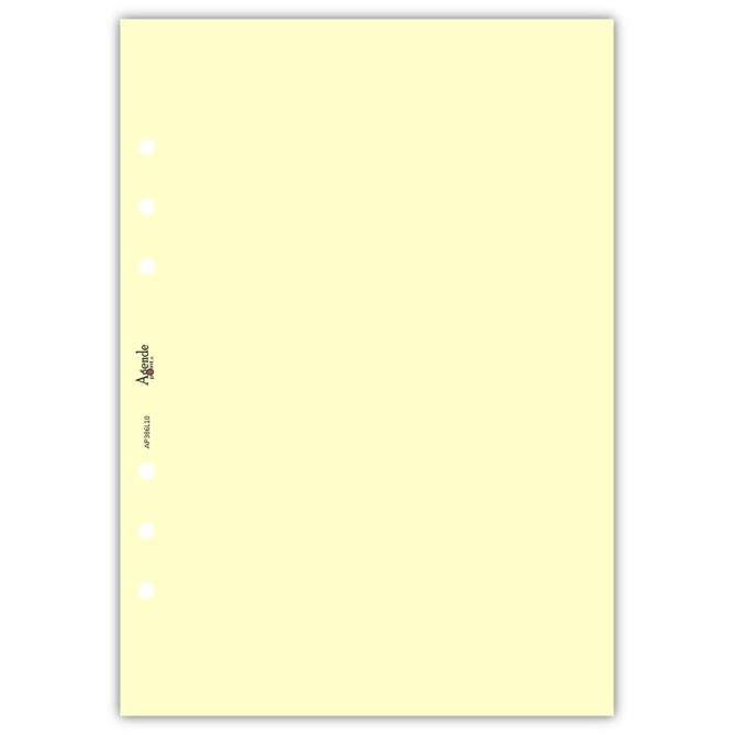 Ricambio agenda organizer vuoti 15x21cm A5 80gr 6fori 40fogli 5colori 3