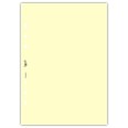 Ricambio agenda organizer vuoti 15x21cm A5 80gr 6fori 40fogli 5colori 3