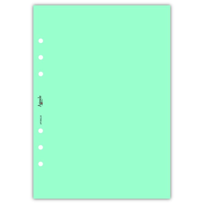Ricambio agenda organizer vuoti 15x21cm A5 80gr 6fori 40fogli 5colori 5