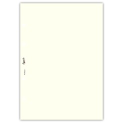 Ricambio agenda organizer vuoti 15x21cm A5 80gr 4fori 40fogli 5colori 6 2