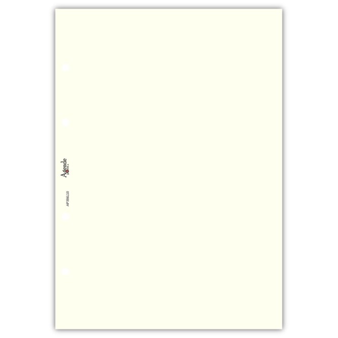 Ricambio agenda organizer vuoti 15x21cm A5 80gr 4fori 40fogli 5colori 1