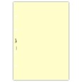 Ricambio agenda organizer vuoti 15x21cm A5 80gr 4fori 40fogli 5colori 3