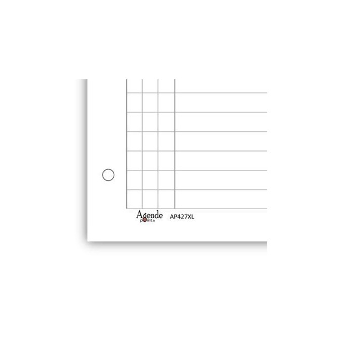 Ricambio agenda organizer rubrica 21x30cm A4 90gr 4fori 50fogli 3