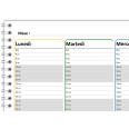Planning settimanale perpetuo spiralato 30x42cm A3 orario 15min 55fogli 4
