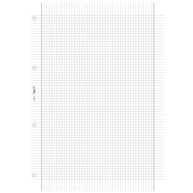 Ricambio agenda organizer rigatura 21x30cm A4 100gr 50fogli 3