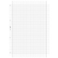 Ricambio agenda organizer rigatura 21x30cm A4 100gr 50fogli 3