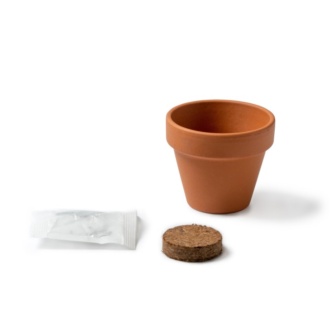 Set Due Vasi In Terracotta Con Semi Di Prezzemolo E Basilico 1