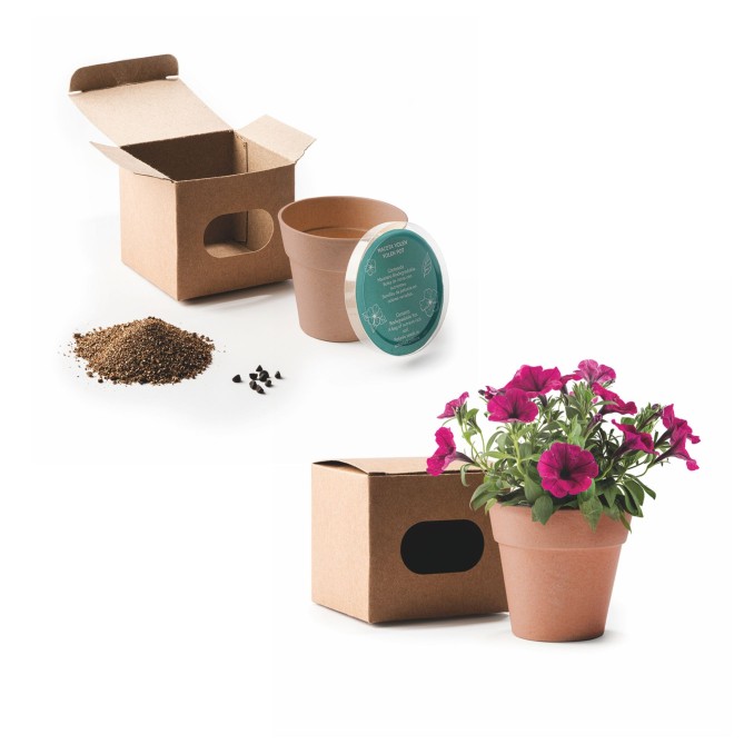 Set Due Vasi In Terracotta Con Semi Di Prezzemolo E Basilico 2