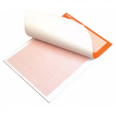 Album Blocco Carta Millimetrata 21x30 A4 10 Fogli 2