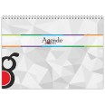 Planning mensile perpetuo in rosso e blu - spiralato 21x30cm A4 24fogli 4