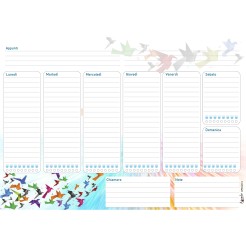 Planning settimanale perpetuo spiralato 21x30cm A4 55pagine 55fogli colorato volatili 2 2