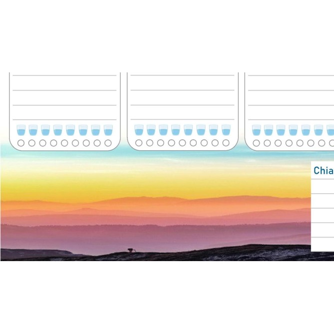 Planning settimanale perpetuo spiralato 21x30cm A4 55pagine 55fogli colorato tramonto 5