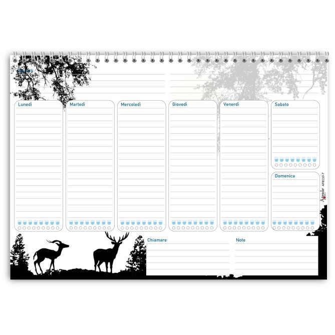 Planning settimanale perpetuo spiralato 21x30cm A4 55pagine 55fogli colorato 2