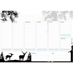 Planning settimanale perpetuo spiralato 21x30cm A4 55pagine 55fogli colorato 2 2