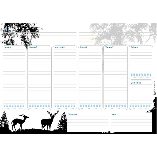 Planning settimanale perpetuo spiralato 21x30cm A4 55pagine 55fogli colorato 3