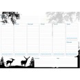 Planning settimanale perpetuo spiralato 21x30cm A4 55pagine 55fogli colorato 3