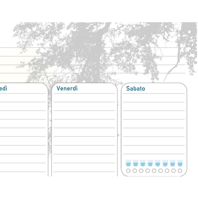 Planning settimanale perpetuo spiralato 21x30cm A4 55pagine 55fogli colorato 4