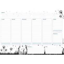 Planning settimanale perpetuo spiralato 21x30cm A4 55pagine 55fogli colorato prato 2 2