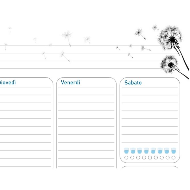 Planning settimanale perpetuo spiralato 21x30cm A4 55pagine 55fogli colorato prato 4