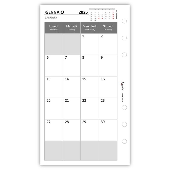 Ricambio Agenda Mensile 2026, Formato A5 9,5x17cm, Bianco, 2 Pagine per Mese, 6 Fori, Gennaio 3