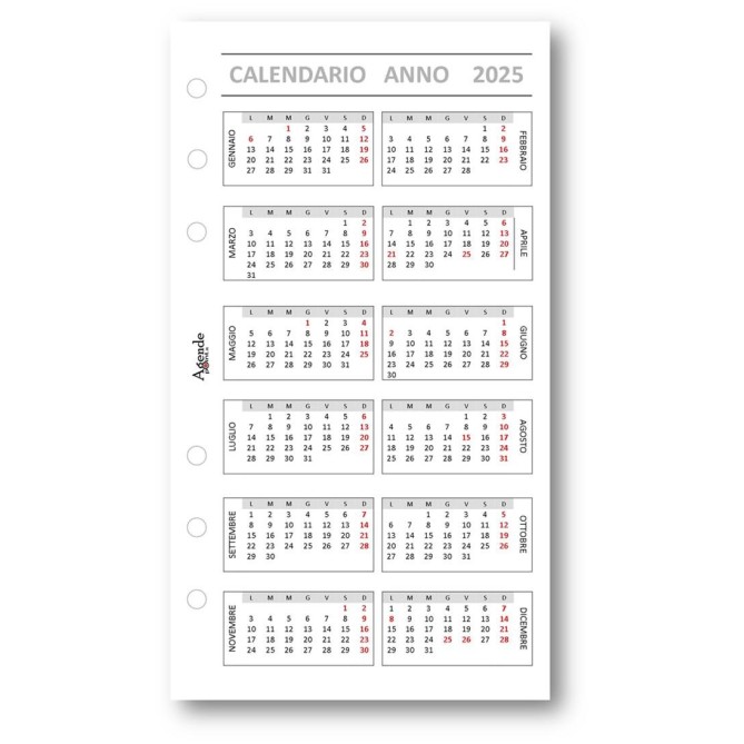 Ricambio Agenda Mensile 2026, Formato A5 9,5x17cm, Bianco, 2 Pagine per Mese, 6 Fori, Gennaio 5