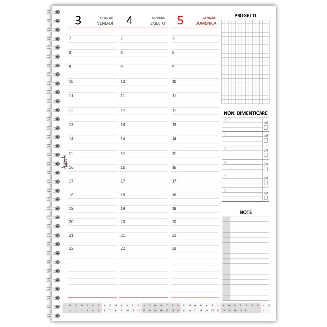 Agenda settimanale  spiralata plastificata 21x30cm A4 bianco 3
