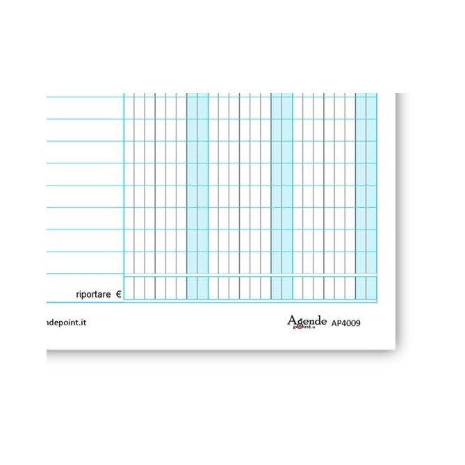 Schede Dare Avere Saldo 29,7x21 50 Pz A4 Verticale Colors Schede Contabili Per Schedario 3