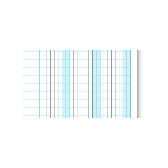 Schede Dare Avere Saldo 29,7x21 50 Pz A4 Verticale Colors Schede Contabili Per Schedario 4