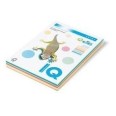 Risma Cartoncino A4 In 5 Colori Assortiti 160gr 100ff Colori Tenui 1