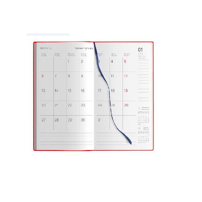 Agenda giornaliera 2026 termovirante 15x21cm A5 multilingua 8
